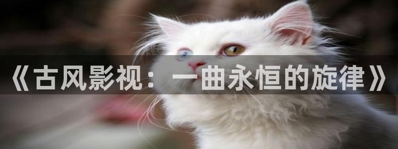 好好看影院