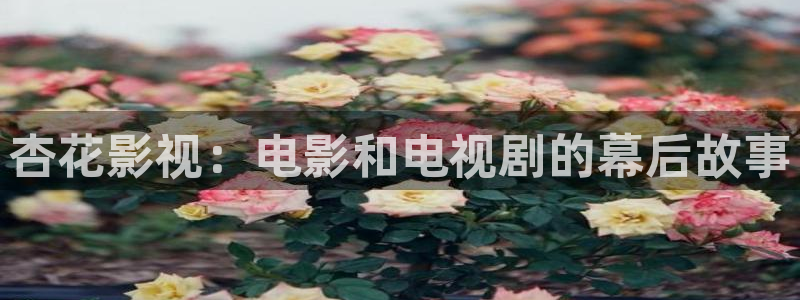 好好看影院